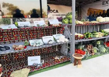 Expo-Cunene arranca hoje com mais de 150 expositores