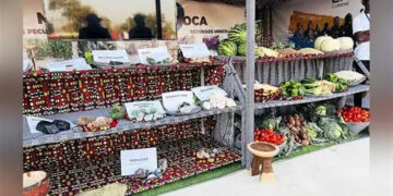 Expo-Cunene arranca hoje com mais de 150 expositores