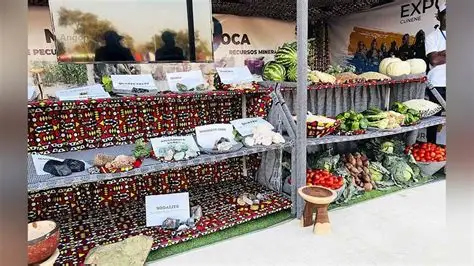 Expo-Cunene arranca hoje com mais de 150 expositores